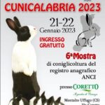 <strong>La Calabria rizza le orecchie e mostra tutta la bellezza del mondo dei conigli con CuniCalabria 2023</strong>
