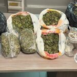 TROVATO IN POSSETTO DI 10 KG DI DROGA. I CARABINIERI ARRESTANO 19ENNE REGGINO.
